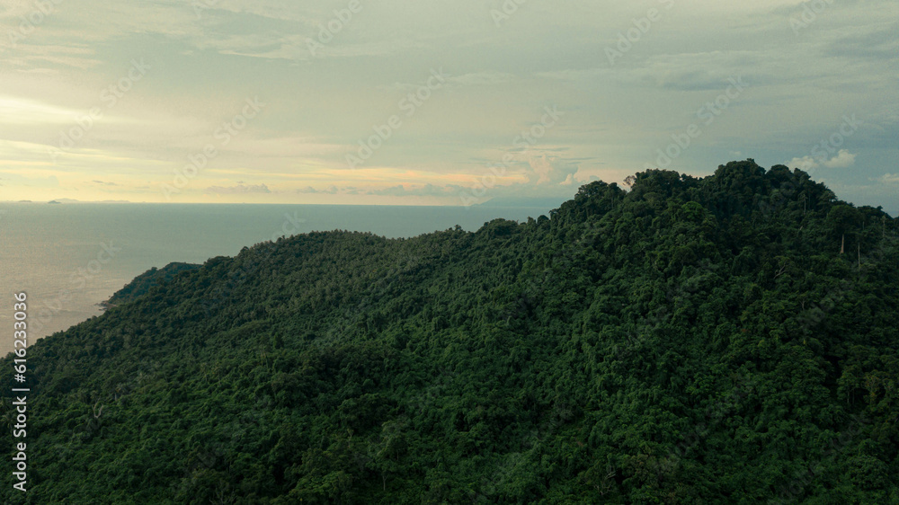 Fototapeta premium Aerial drone view of lush green island scenery with at Tinggi Island or Pulau Tinggi in Mersing, Johor, Malaysia
