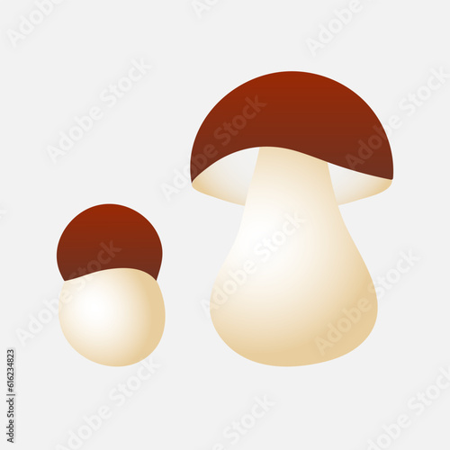 Mushroom cep. Element for design isolated on white background.