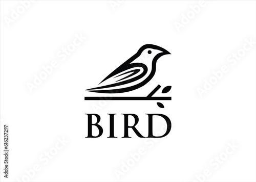 bird logo design