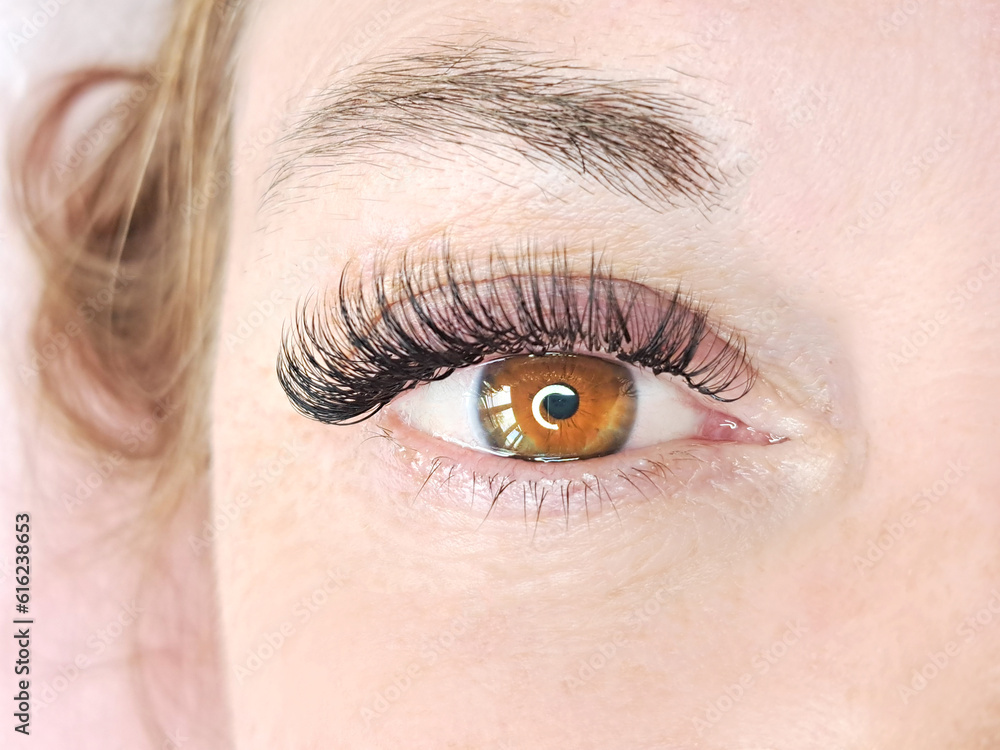 Close up of eye with eyelash extensions ,beauty salon treatment ,2d volume,