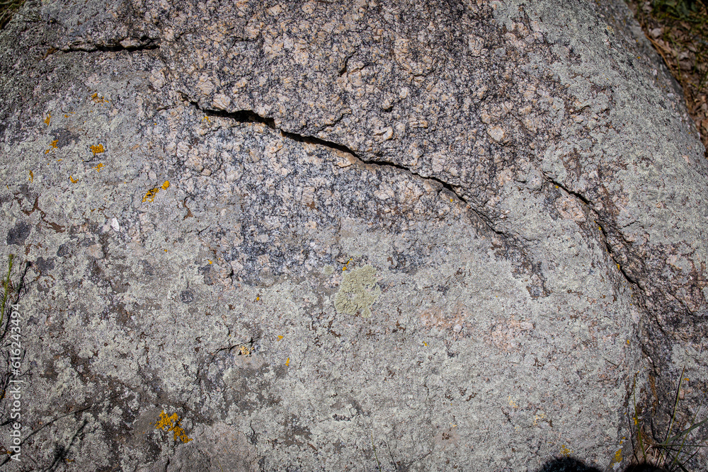 Naklejka premium cracked rock stone texture