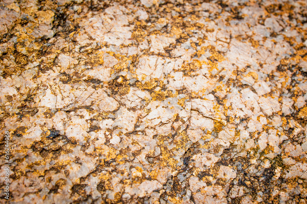 Granite like rock texture with yellow & white Granite like rock texture with yellow & white