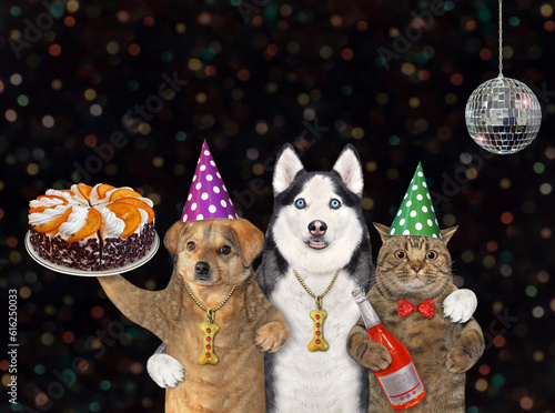 Two dogs and cat with cake 2 © iridi66