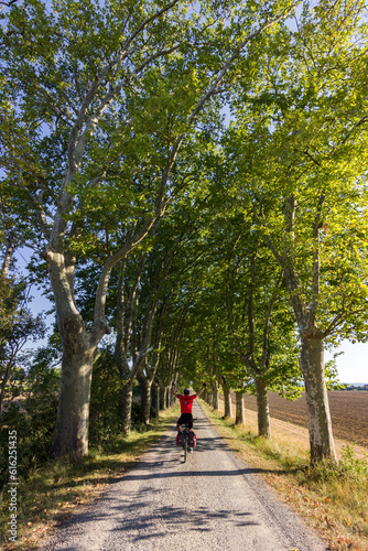 Travel by bike in the Canal du Midi (France)