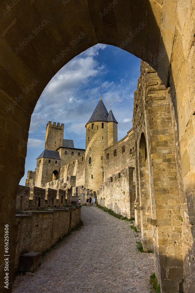 Beautiful town of Carcassonne in Canal du Midi (France)