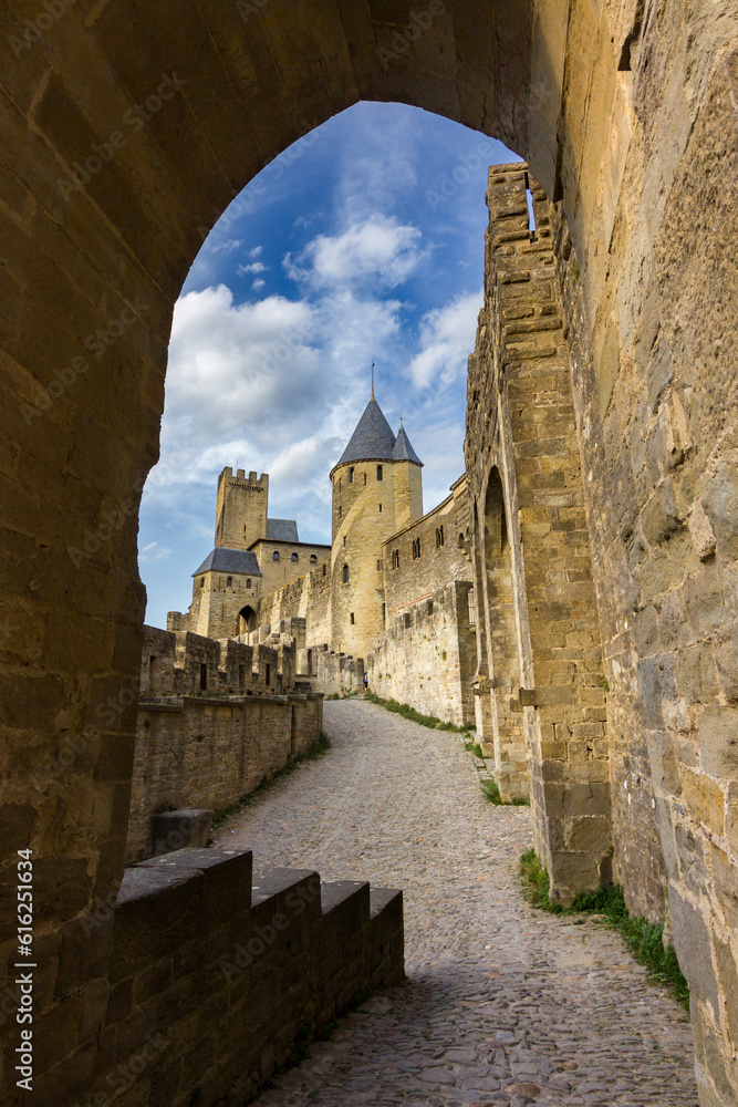 Φωτογραφία Beautiful town of Carcassonne in Canal du Midi (France)