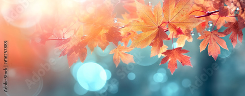 Orange and red autumn leaves with bokeh effects on abstract blue background.