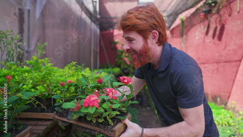Happy man putting pot of plants back to shelf at horticulture Plant Store backyard. Joyful Florist male person with redhair © Marco