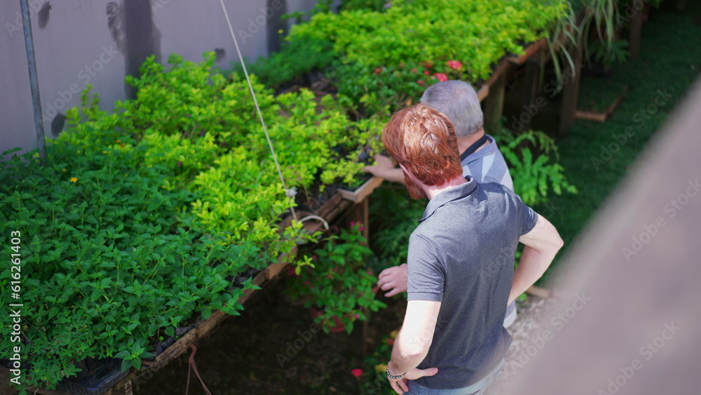 Fototapeta premium Candid Florist assisting customer at local business plant store. A senior male Flower Shop owner helping person pick plant at horticulture place