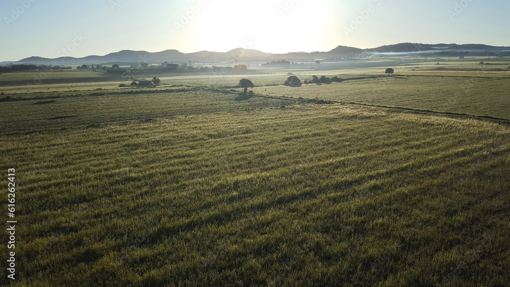 grüne Felder und Wiesen im Licht Morgenstimmung
im Hintergrund Berge am Horizont 
Landschaft aus der Vogelperspektive bei Tagesanbruch im Sommer - obrazy, fototapety, plakaty 