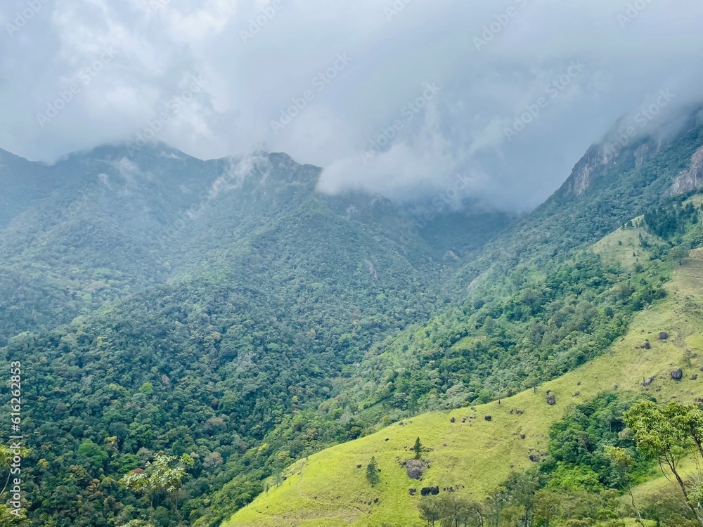 Misty Mountain Sri Lanka