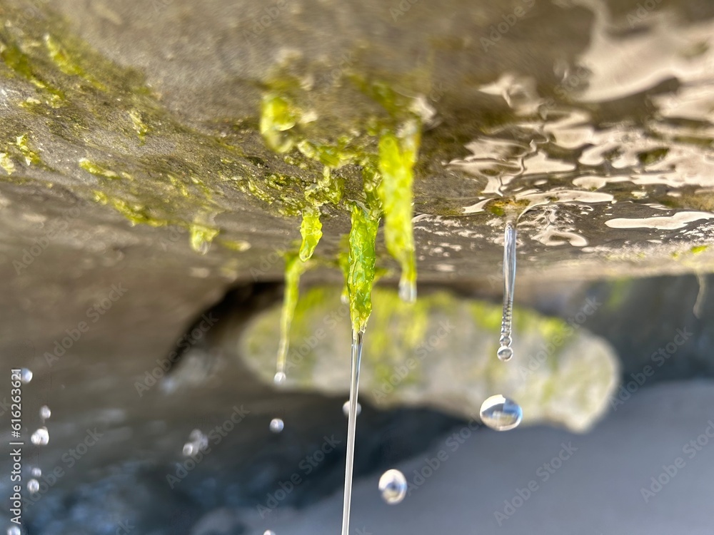 Drops on a rock
