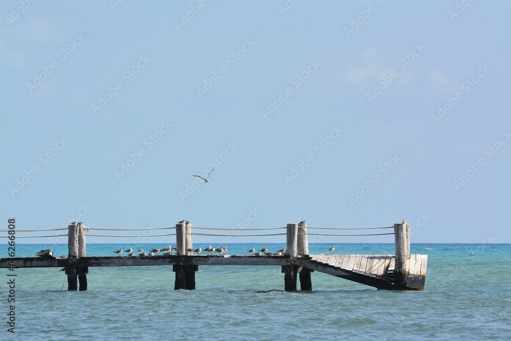 Sun bleached pier over turquoise water