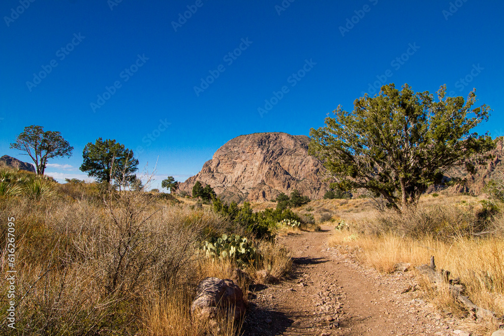Fototapeta premium the grand canyon