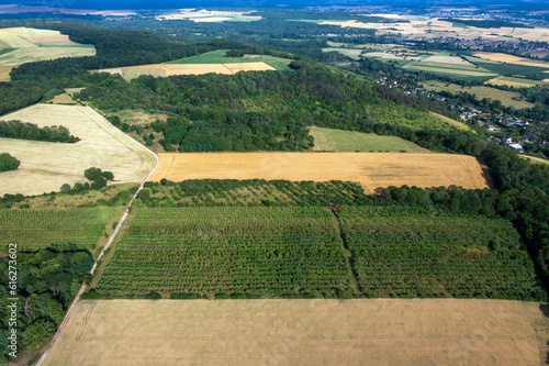 Verger de pommes au milieu des champs surplombant le village de Giverny en bas à droite. (Cidre "Le verger de Giverny")