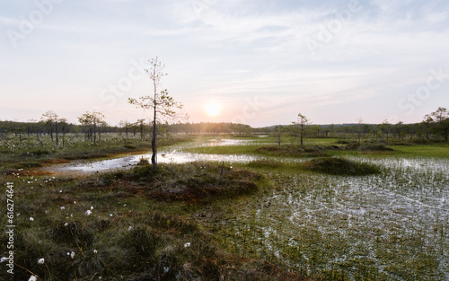 Evening view of the raised bog (swamp) in Europe © d1tus