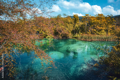 Magical Colors of Plitvice Lakes - Croatia © Pedro