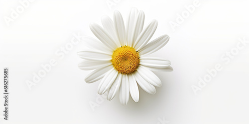 A single white daisy flower on a white surface. Generative AI.