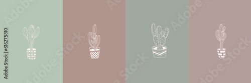 Vector set of cactus illustrations in minimal linear style, hand drawn cacti in pots, minimal floral line art drawing