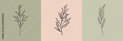 Vector set of botanical illustrations in minimal linear style, vector branches set, minimalistic modern floral logo