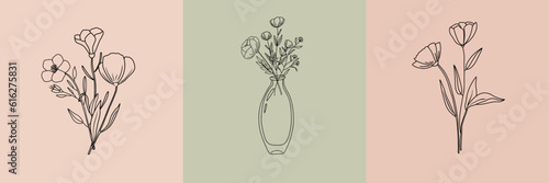 Vector set of botanical illustrations in minimal linear style, minimalistic modern flower logo