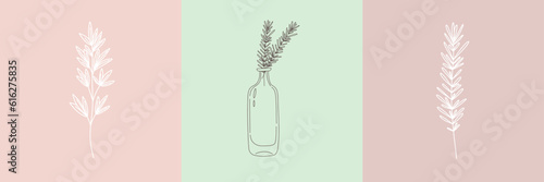 Vector set of botanical illustrations in minimal linear style, minimalistic modern floral logo