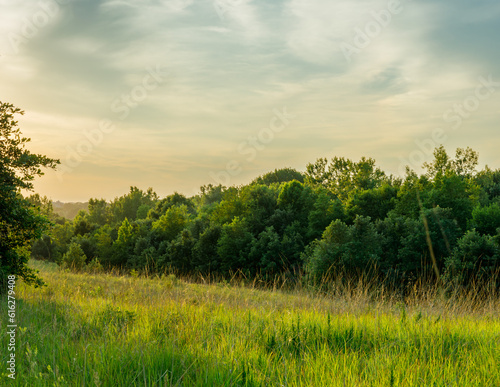 sunset in a field with trees in the background