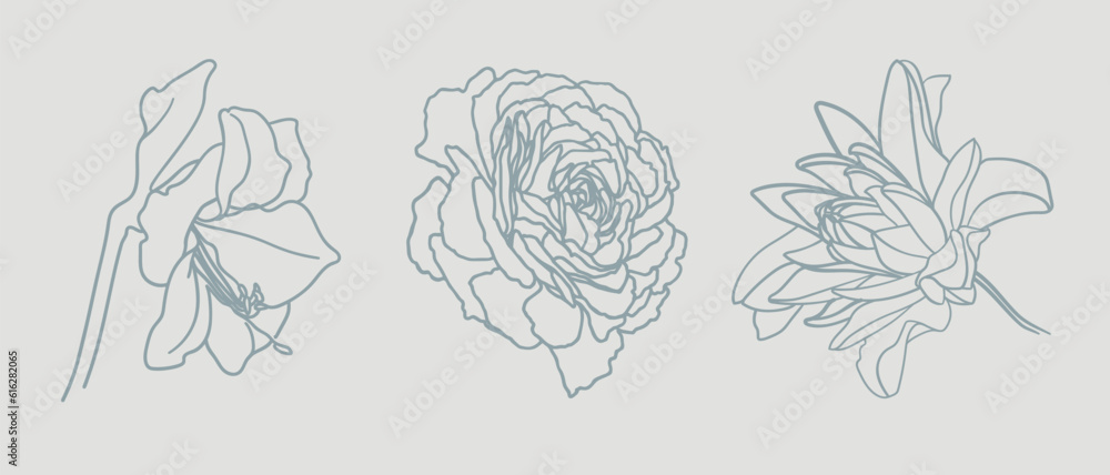 Gray flowers collection outline vector clipart. Flowers line art tattoo on beige background. Wedding Logo elements 