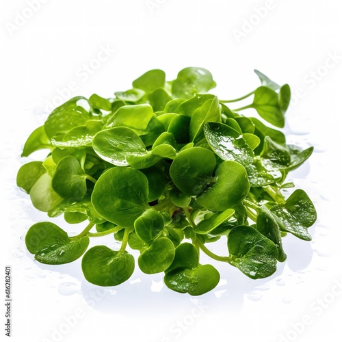 Photo of fresh watercress with a white background