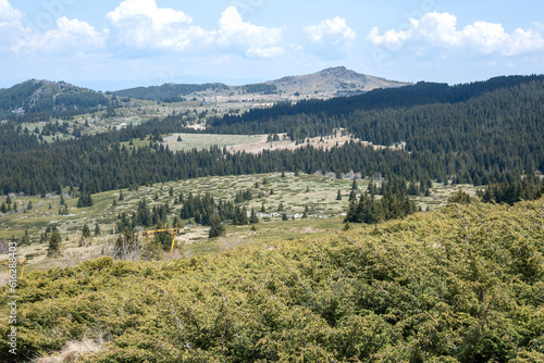 Spring view of Konyarnika area at Vitosha Mountain  Bulgaria