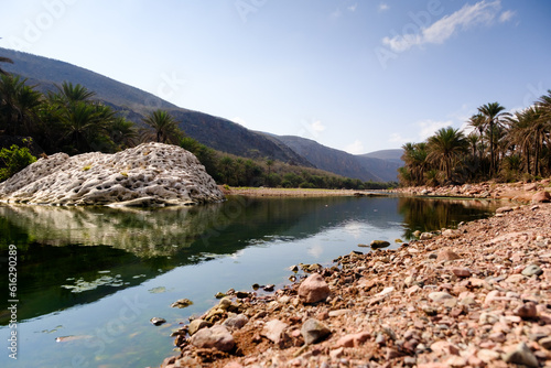 Palm-lined river with unique rock formation in Socotra, Yemen.