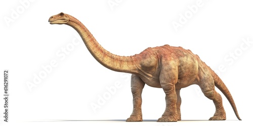 Brachiosaurus isolated on white background