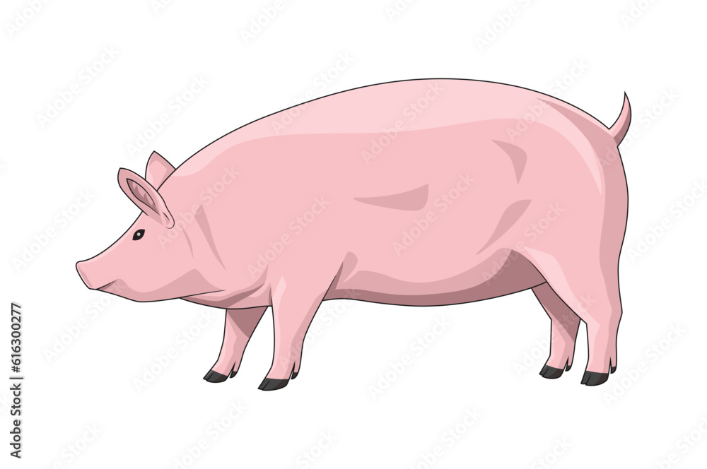 Big fat pig. Vector illustration, isolated on white background, side view, animal cartoon Big fat pig. Vector illustration, isolated on white background, side view, animal cartoon