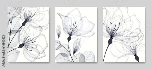 Black and white art background with transparent flowers and rose leaves in x-ray style. Botanical floral vector set with watercolor texture for decoration design, print, poster, interior, textile.