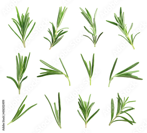 Set with fresh rosemary isolated on white © New Africa