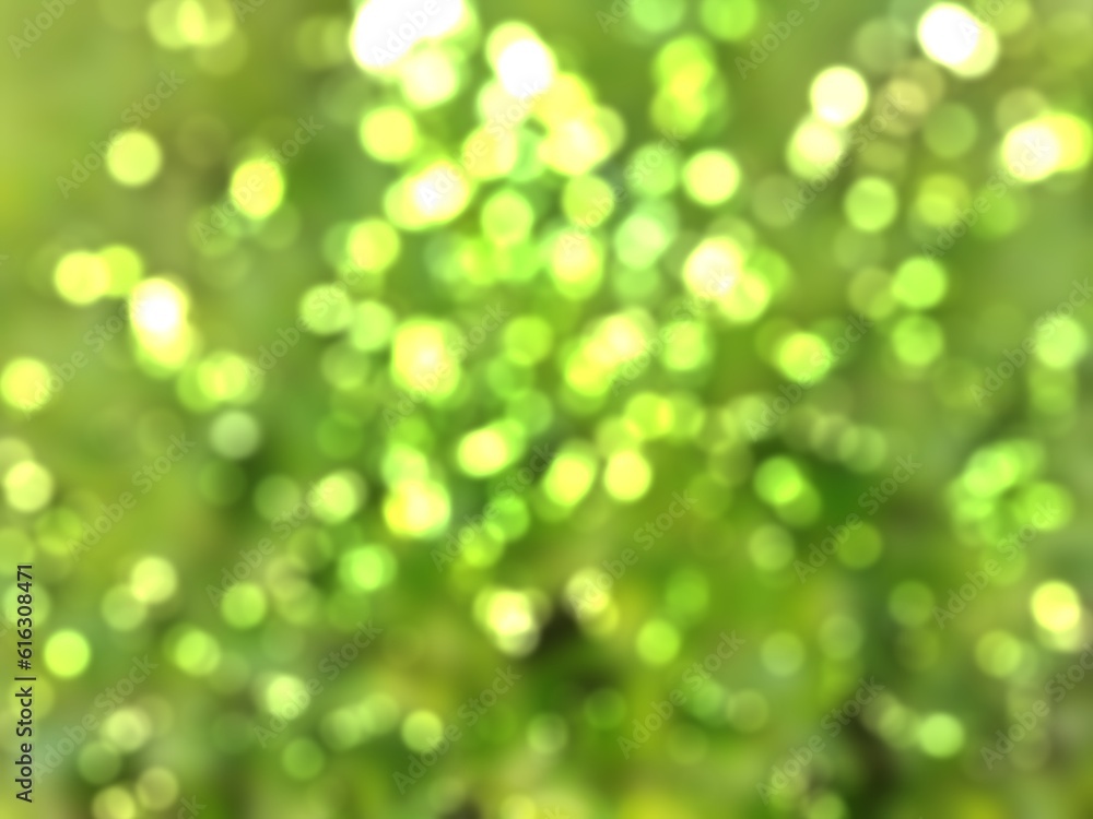 Fototapeta premium green bokeh background