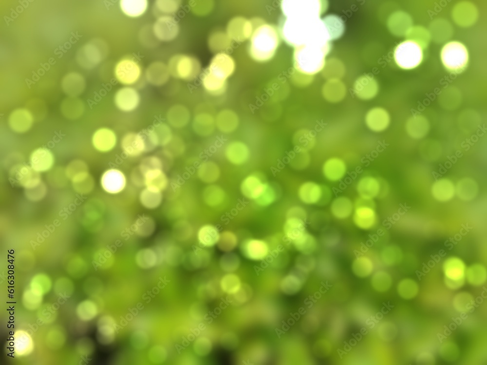 Fototapeta premium green bokeh background