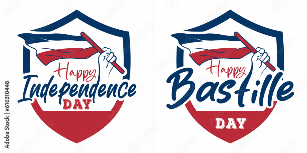 Fototapeta premium shield france independence day icon protect with france flag