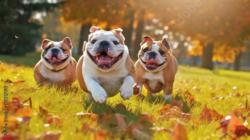 Cute funny English bulldogs group running and playing on green grass in park in autum, Generative AI