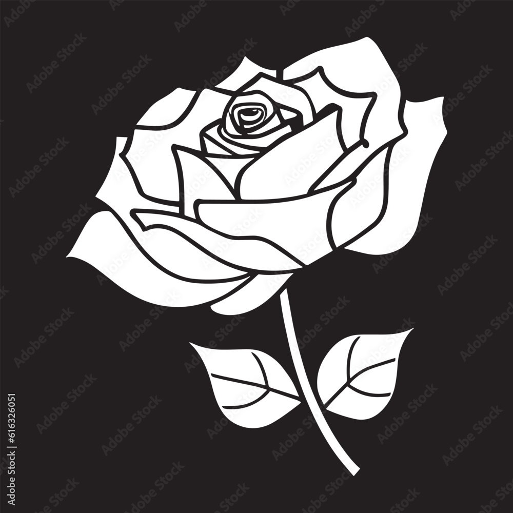 black and white rose black and white rose