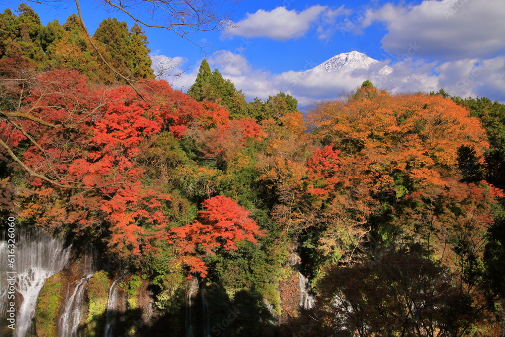 紅葉の白糸の滝と冠雪の富士山