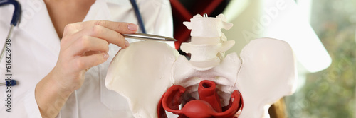 Doctor gynecologist showing bones of female pelvis closeup
