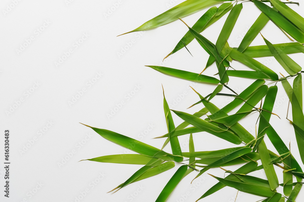 Captivating Bamboo Leaf Background with Elegant White Paper Captivating Bamboo Leaf Background with Elegant White Paper