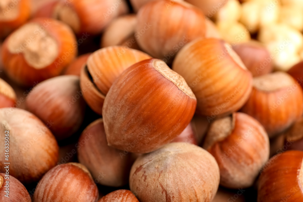 Shelled hazelnuts as background, closeup Shelled hazelnuts as background, closeup