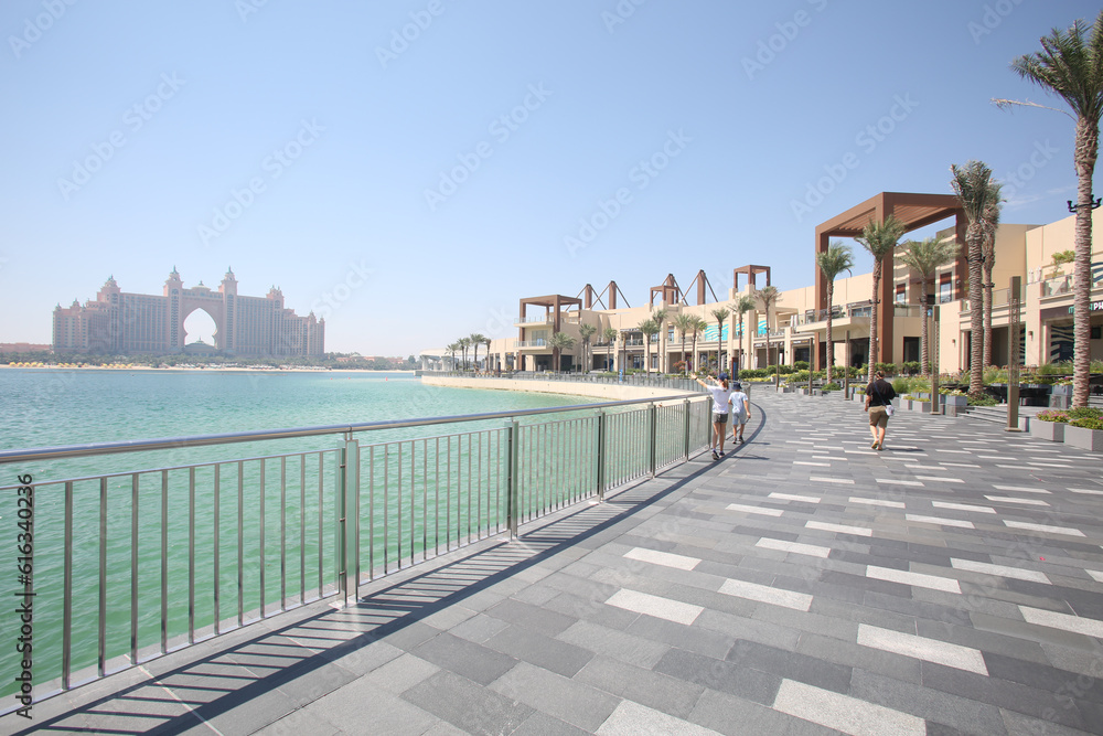 Fototapeta premium The Palm in Jumeirah