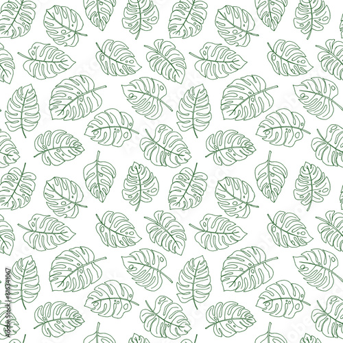 Line art doodle hand drawn green lined monstera plant leaves as summer botanical seamless pattern on white background.Print fabric, cards, invitations © Sunny_Smile