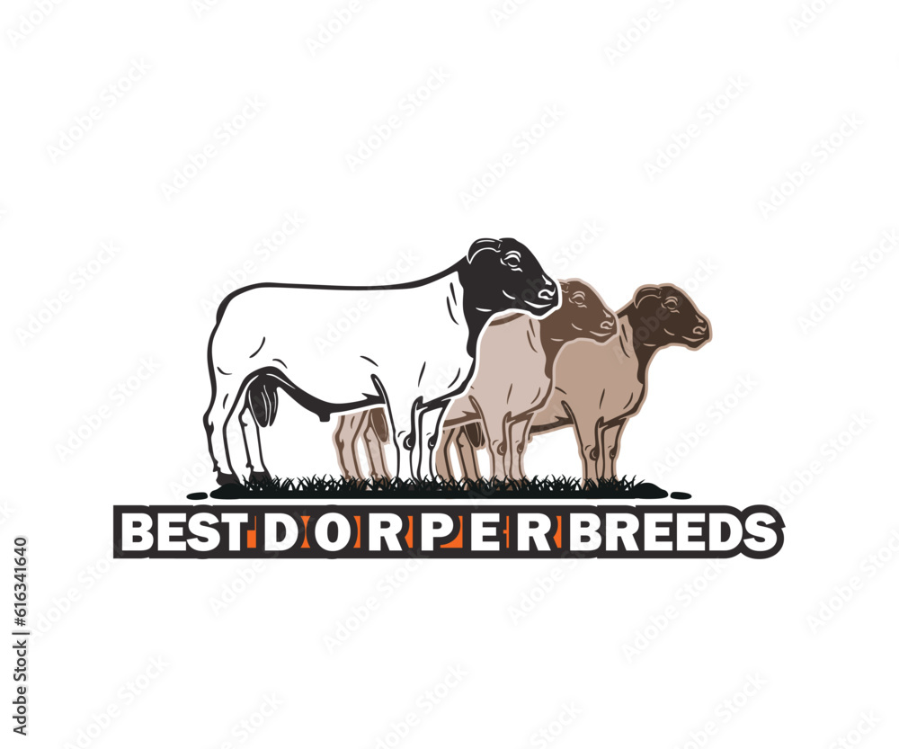 DORPER BEST BREEDS LOGO, silhouette of black head sheep standing vector illustrations DORPER BEST BREEDS LOGO, silhouette of black head sheep standing vector illustrations
