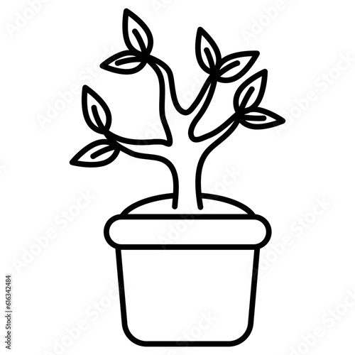 plant in a pot. bonsai pot