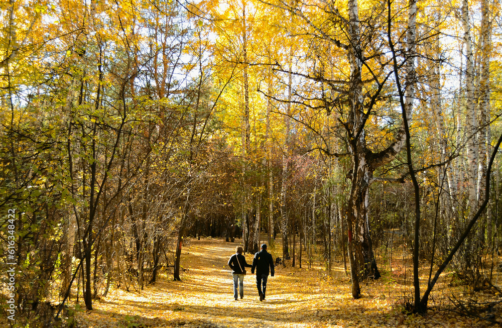 Fototapeta premium A married couple walking along a path in a dense autumn forest under sunlight