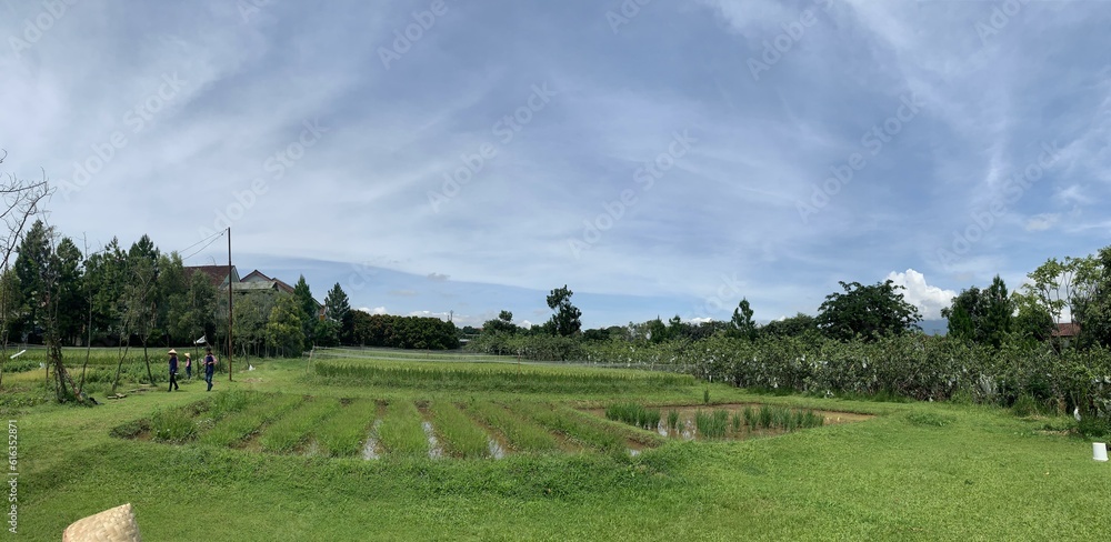 Obraz premium landscape with trees and clouds